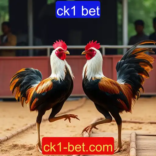 Jogos de sabong